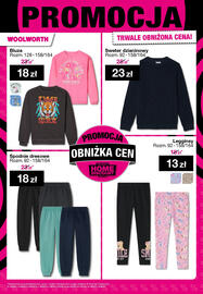 Woolworth gazetka Strona 41