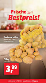 Thomas Philipps Prospekt woche 38 Seite 9