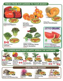 The Garden Basket flyer week 37 Page 2