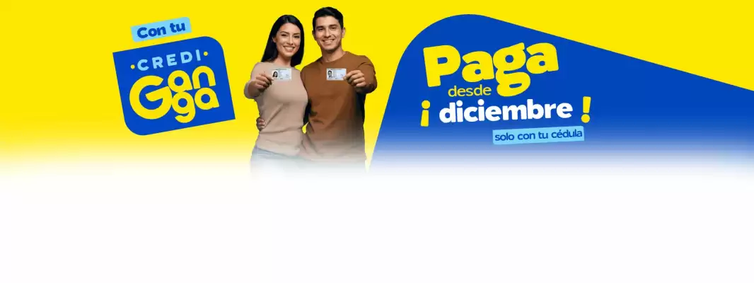 Catálogo La Ganga (válido hasta 1-12)