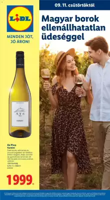 Lidl akciós újság (érvényes eddig: 31-12)
