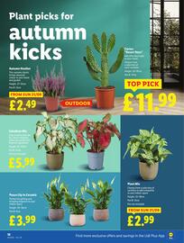 Lidl leaflet week 38 Page 22