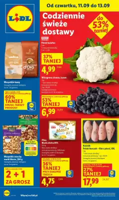 Lidl gazetka