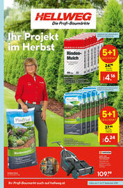 Hellweg Prospekt woche 37 Seite 1