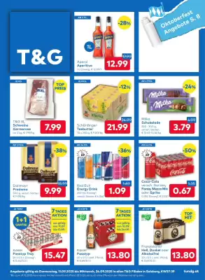 T&G Flugblatt