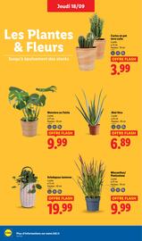 Catalogue Lidl semaine 38 page 30