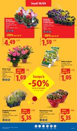 Catalogue Lidl semaine 38 page 31