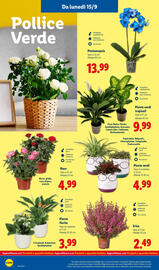 Volantino Lidl settimana 38 Pagina 46