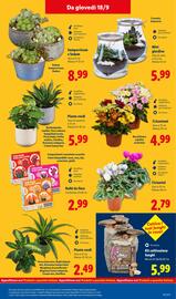 Volantino Lidl settimana 38 Pagina 47