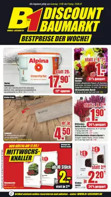 B1 Discount Baumarkt Prospekt (gültig bis 19-09)