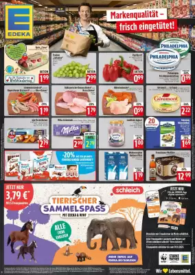 Edeka Prospekt (gültig bis 13-09)