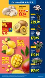 Lidl leták Strana 11