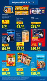 Lidl leták Strana 31