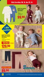 Lidl leták týden 38 Strana 30