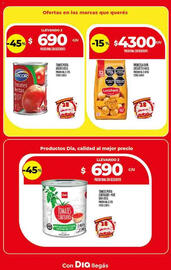 Folleto Supermercados DIA semana 37 Página 19