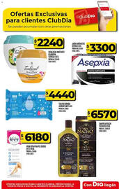 Folleto Supermercados DIA semana 37 Página 60