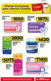 Folleto Supermercados DIA semana 37 Página 61