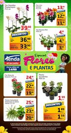 Folheto Tenda Atacado Página 1
