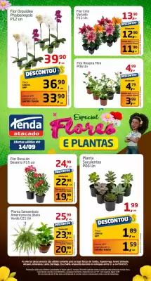 Folheto Tenda Atacado (válido até 14-09)