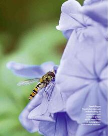 Maxi Zoo folder week 37 Pagina 12