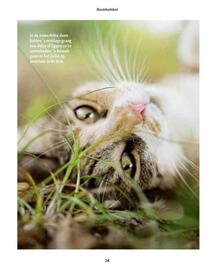 Maxi Zoo folder week 37 Pagina 14