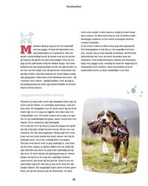 Maxi Zoo folder week 37 Pagina 18