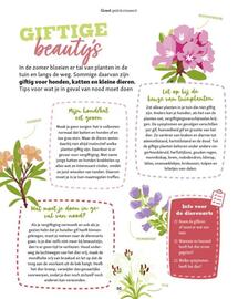 Maxi Zoo folder week 37 Pagina 30