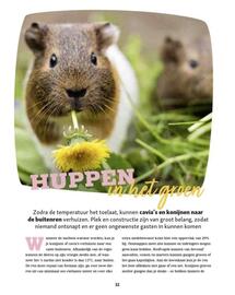 Maxi Zoo folder week 37 Pagina 32