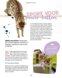 Maxi Zoo folder week 37 Pagina 34