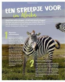 Maxi Zoo folder week 37 Pagina 36