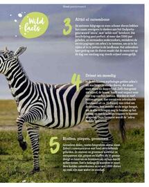 Maxi Zoo folder week 37 Pagina 37