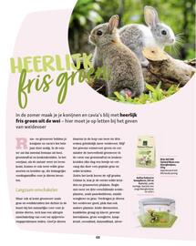 Maxi Zoo folder week 37 Pagina 48
