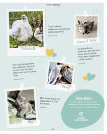 Maxi Zoo folder week 37 Pagina 53
