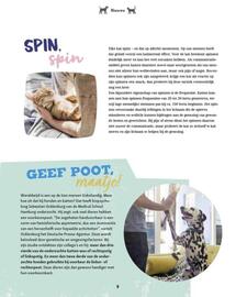 Maxi Zoo folder week 37 Pagina 8
