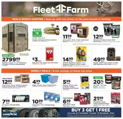 Mills Fleet Farm weekly ad (valid until 19-09)