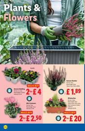 Lidl leaflet week 38 Page 22