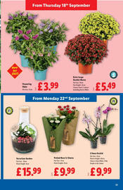 Lidl leaflet week 38 Page 23