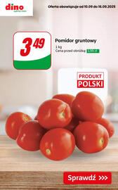 Dino gazetka tydzień 37 Strona 9