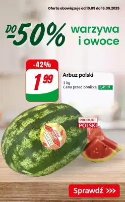Dino gazetka (ważność do 16-09)
