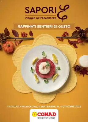 Volantino Conad (valido fino al 4-10)