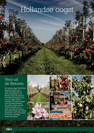 Sligro folder | Food Pagina 4