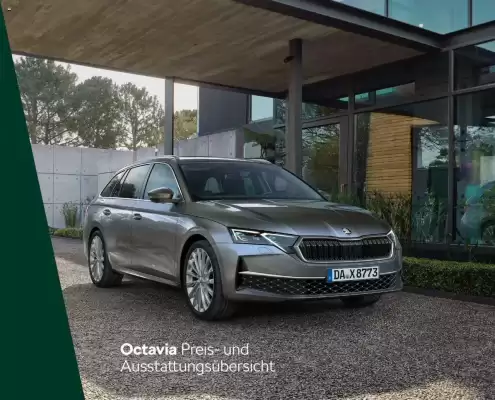 Skoda Prospekt (gültig bis 31-07)