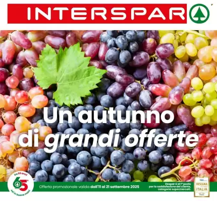 Volantino Interspar (valido fino al 21-09)