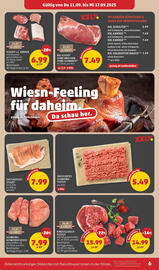 PENNY Flugblatt woche 37 Seite 6