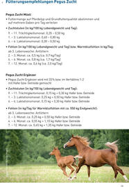 Lagerhaus Flugblatt Seite 19