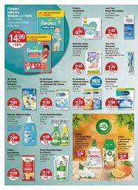 V Markt Prospekt woche 38 Seite 16