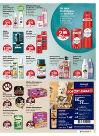 V Markt Prospekt woche 38 Seite 17