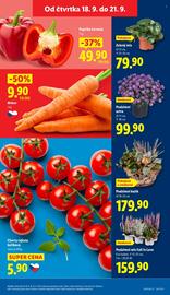Lidl leták Strana 11