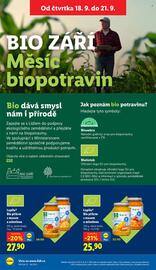 Lidl leták Strana 30