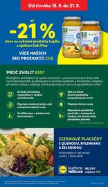 Lidl leták Strana 31